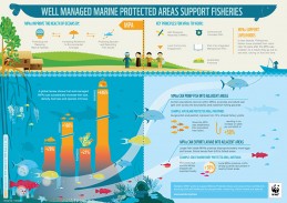 Making the case for the fisheries benefits of reserves