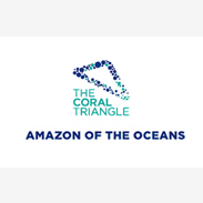 Iconizing the Coral Triangle