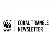 An email newsletter for Coral Triangle enthusiasts