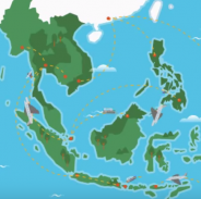 Visualizing training opportunities for small tourism businesses