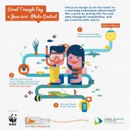 A social media contest for Coral Triangle Day