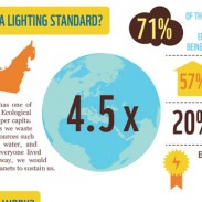 UAE lighting regulation infographic