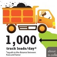 Facing the Plastic Facts