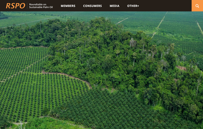 RSPO.org website